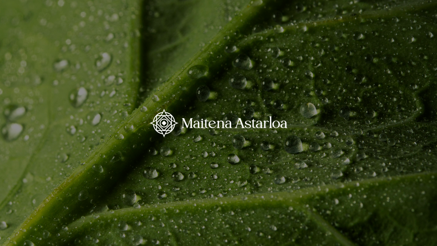 Logotipo de Maitena Astarloa en versión negativa sobre fotografía de una hoja con gotas de agua